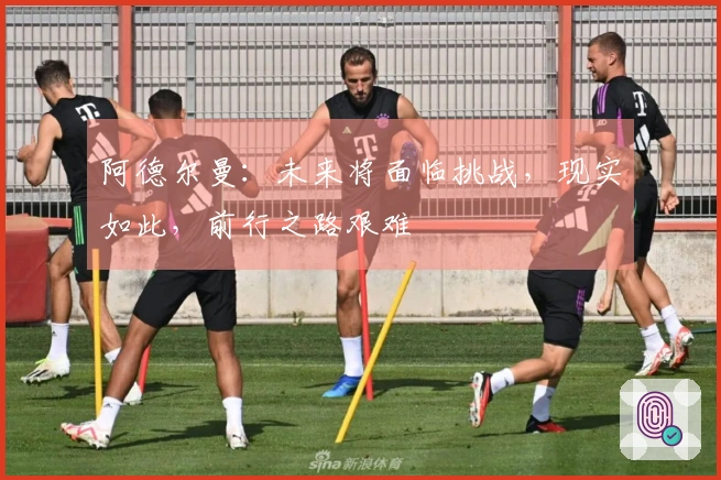 阿德尔曼：未来将面临挑战，现实如此，前行之路艰难