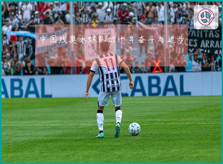 中国残奥冰球队的十年奋斗与进步