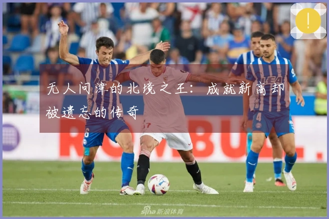 无人问津的北境之王：成就新高却被遗忘的传奇