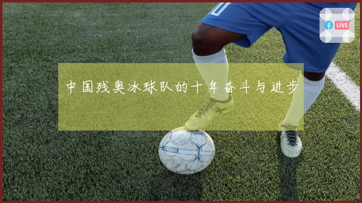 中国残奥冰球队的十年奋斗与进步